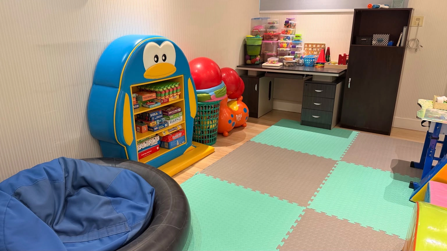 Department of Occupational Therapy, Pediatric Development & Multi-Sensory Snoezelen Room